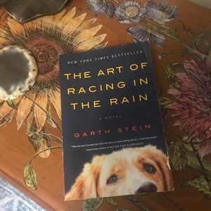 The art of racing in the rain novel softcover book